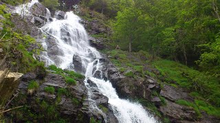 Am Todtnauer Wasserfall HanglochWasserfall [upl. by Aokek]