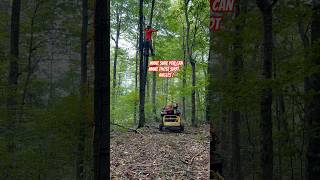 Bow Hunting Hang On Tree Stand Going Up  1 Month Out 🏹🦌 Hunting BowHunting DeerHunting [upl. by Kirkwood]