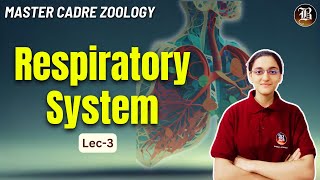 Respiratory System Lec3  Master Cadre Zoology Preparation  Most Important topic  Bansal Academy [upl. by Knuth]