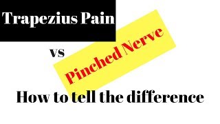 Pinched Nerve versus Trapezius Pain HOW TO TELL [upl. by Aleedis378]