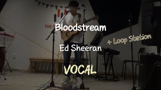 Bloodstream  Ed Sheeran  vocal cover Loop station [upl. by Nannahs]