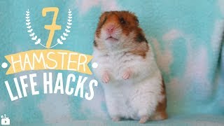 7 HAMSTER LIFE HACKS 🐹 [upl. by Drareg30]