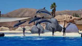 Dolphin Show 🐬 Rancho Texas Lanzarote Park 🐬 Lanzarote Canary Islands 🇮🇨 🇪🇸 4K [upl. by Sirhc539]