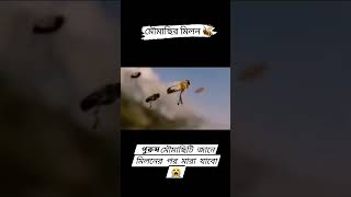 কি অদ্ভুত নিয়ম।🥹বইতে তো অনেক পড়েছো এবার স্বচক্ষে দেখো✅experiment trending [upl. by Otir]