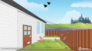 Backyard DIY Cat Netting Enclosure Animation  Catnetscomau [upl. by Eillas259]