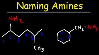 Naming Amines  IUPAC Nomenclature amp Common Names [upl. by Bartie]