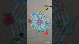 Spider web 🕸️ cycle hindi project for kids shorts feedshorts project [upl. by Amoakuh]