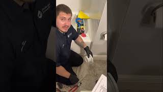 Plumbing HowTo PVC Toilet Flange Replacement [upl. by Ecilahc112]