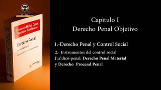 DERECHO PENAL GENERAL DOGMATICA PENAL AUDIOLIBRO [upl. by Hpeseoj206]