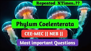 Phylum Coelenterata  Common entrance and NEB  TOP questions collections [upl. by Launamme564]