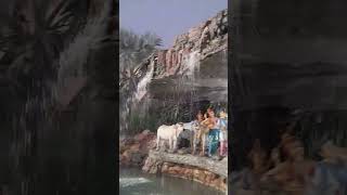 Vrindavan dham apaar🙏 shriradheradhe bihariji radhaju ytshorts bhaktipath🌸💫 [upl. by Esiuole]