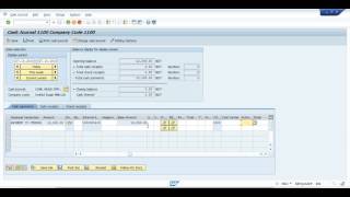 Vendor Payment with Cash in SAP HANA solution [upl. by Enyale]