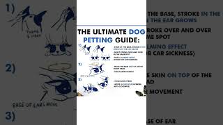 Are You Petting Your Dog Correctly 🐶🖐️ Discover the Ultimate Dog Petting Guide DogLovers [upl. by Eisus]