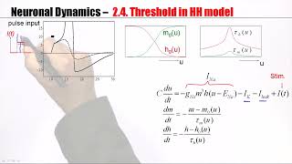 CNS24  Threshold in the Hodgkin Huxley Model [upl. by Herm]