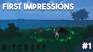 First Impressions  Bitcraft  1 [upl. by Anirtik]