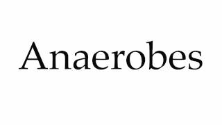 How to Pronounce Anaerobes [upl. by Asirac]