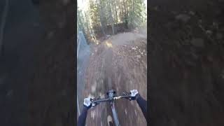 Fun pump track style trail [upl. by Inigo]