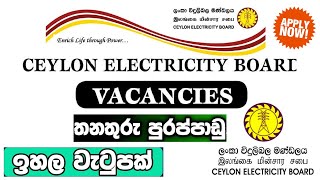 Sri Lanka Ceylon Electricity Board Job Vacancies 2023  CEB Job Vacancy 2023 [upl. by Agni]