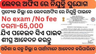 Labour Office Recruitment 2024  Salary 65000 Per Month  Odisha New Govt Jobs 2024 [upl. by Kcirrad]