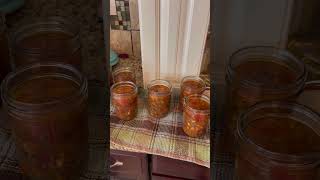 Pressure Canning Beef Vegetable Soup [upl. by Nadia24]