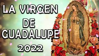 Cantos Para La Virgen De Guadalupe  La Virgen De Guadalupe  Mariachi Cantares De Mexico [upl. by Takeshi934]