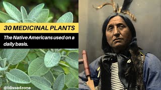 30 Medicinal Plants The Native Americans Used On a Daily Basis  Blissed Zone [upl. by Walcott]