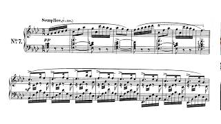 Schumann Papillons Op 2 [upl. by Ahsil]