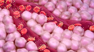 A1C Test for Measuring Blood Sugar Levels [upl. by Prady]