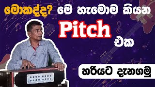 What Is Pitching  Voice training sinhala  How To Sing කටහඬ පුහුණුව  සෘතියට ගයන්නේ කොහොමද [upl. by Gabrila495]