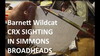 Barnett Wildcat CRX Sighting in Simmons Broadhead [upl. by Asare]