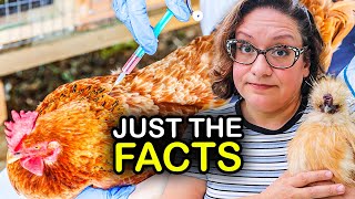 Mareks Disease in Chickens Part Two  The VACCINE [upl. by Close]