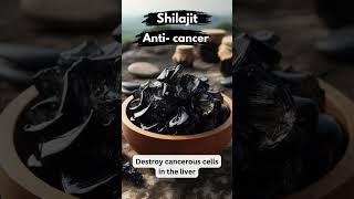 Unveiling the Ancient Secret Shilajit Benefits with Dr Barbara oneill  shilajit barbaraoneill [upl. by Barbarese5]