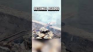 OSTIONES ASADOS ostiones shrots [upl. by Siseneg]