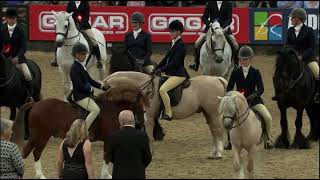 HOYS 2023 Mountain amp Moorland Championship Part 2 [upl. by Abell993]