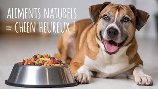 Découvrez comment les aliments naturels peuvent transformer la santé de votre chien [upl. by Aciemaj]