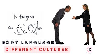 The Secret Language of Culture How Body Language Differs Across the Globe Culturalawareness [upl. by Cheadle897]