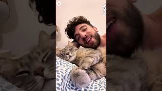 I want a clingy cat 🐱 cat funny foryou pets shorts fyp funnyvideo funnyanimals cute [upl. by Nesnej]