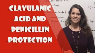 Clavulanic Acid Clavulanate and Penicillin Protection [upl. by Assylla833]