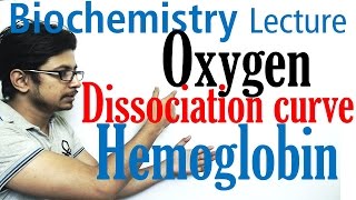 Oxygen hemoglobin dissociation curve explained [upl. by Ertnom]