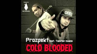 Prozpekt Ft Twisted Insane  Cold Blooded Prod MetroGnome [upl. by Ruffina]