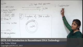 BTR 310 Introduction to Recombinant DNA Technology [upl. by Zolnay208]