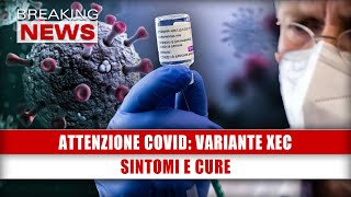 Attenzione Covid Variante Xec Sintomi E Cure [upl. by Ahsenwahs]