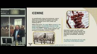 Ice Wine harvest  Masterclass with Inniskillin  Napa Valley Wine Academy [upl. by Adnamas453]