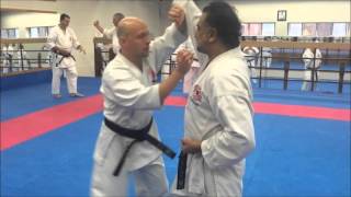 Chito Ryu Karate Canada Instructor Training [upl. by Meter]