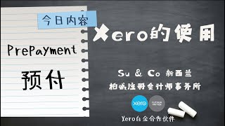 Xero的使用教程  Prepayment 预付 [upl. by Ravahs]