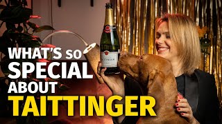 Whats So Special About TAITTINGER Champagne [upl. by Sidnala]