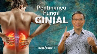 PENTINGNYA FUNGSI GINJAL [upl. by Ruhtua395]