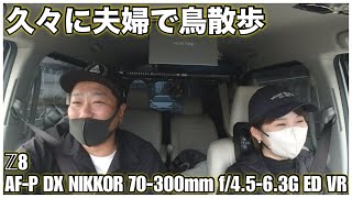 【記録動画】久々に夫婦でカメラ片手に鳥散歩  AFP DX NIKKOR 70300mm f4563G ED VR × Z8 Ver20 [upl. by Kristi269]