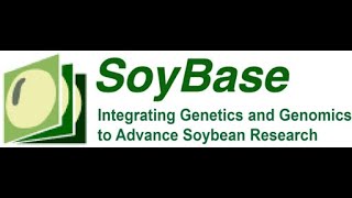 Soybean genome browser SoyBase [upl. by Nuy]