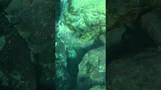 Checking out the vents of a creek spring freediving creek springs limestone cave sub 4 more [upl. by Ecertal]